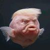 abbiinormal75