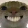 nguynrong4