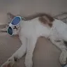 mrgael44