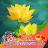 user53543005