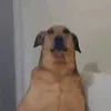 menya_ne_udivish1