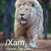 xamlions