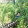 cristyan.s1