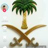 khader8