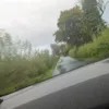 regan_467