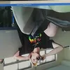 keepingupwithasshit