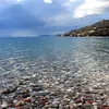pastafloritsa