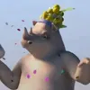sapinho_amarelo