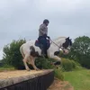 ronky73