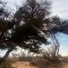 _naion4