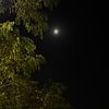 b_y__505