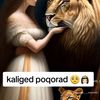 zamdajamac