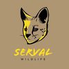 SERVAL WILDLIFE