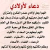 user87895281