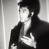 hearts4.elvis