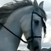 josedemalaga0