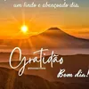 novaesjamile