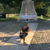 _asiavetrone_
