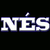 twitch_nes88