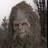 stevegray223