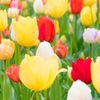 juany.flores2