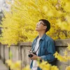 anhdai2901