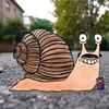 snail_dad2