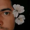 lepuflet