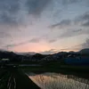 user18030818