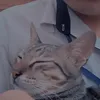 thangvu2209