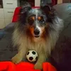 beuko1