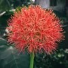 hagabi2905