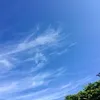 songtu7620