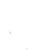 Tri Tui