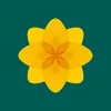 plaidcymru