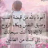 ags019