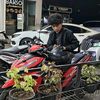 ikall_id