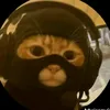 teddykyll