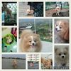 npuk0000