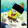 muhammaddarel1