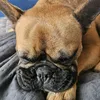 gizmotwo