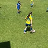 sop_hie.10