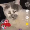simbas60