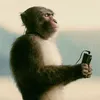hbakrix