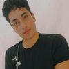 lobo1999gato