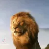 www.myking451
