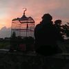 bagus_adm