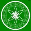 holisticheights