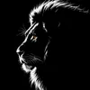 bhadin_bedawi_77
