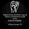 erhan12124